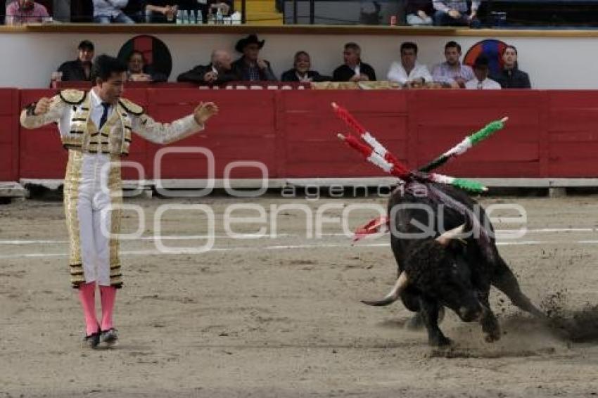 TOROS . RAFAEL ORTEGA