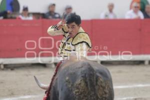 TOROS . RAFAEL ORTEGA