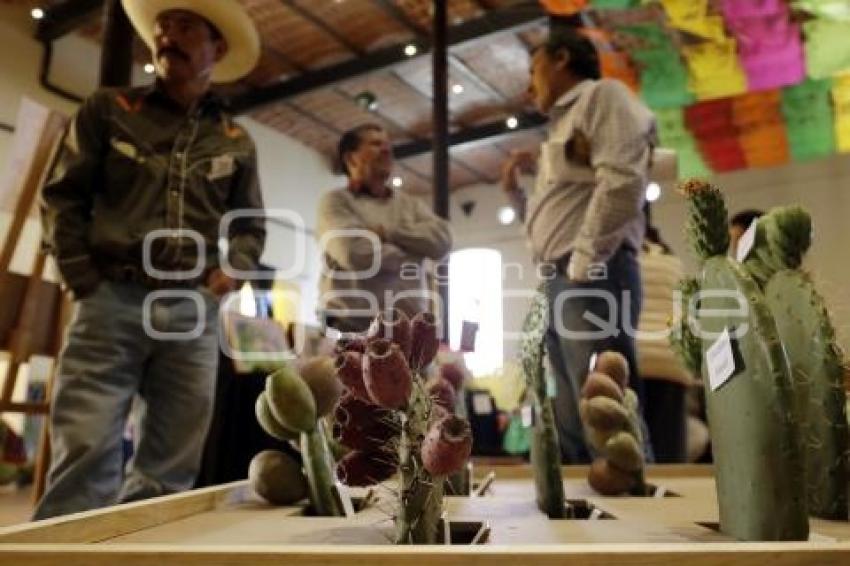 DÍA INTERNACIONAL DE LA TUNA Y EL NOPAL