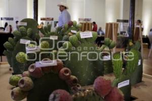 DÍA INTERNACIONAL DE LA TUNA Y EL NOPAL