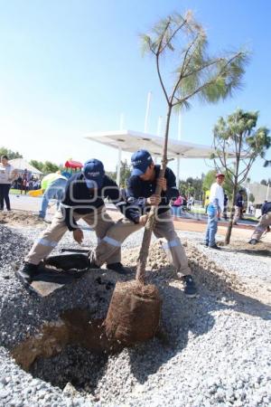 JORNADA DE REFORESTACIÓN