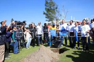 JORNADA DE REFORESTACIÓN