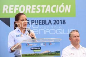 JORNADA DE REFORESTACIÓN