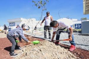 JORNADA DE REFORESTACIÓN