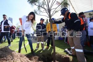 JORNADA DE REFORESTACIÓN