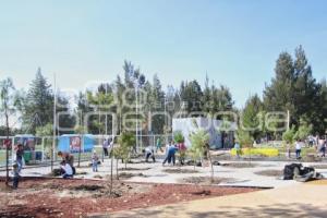 JORNADA DE REFORESTACIÓN
