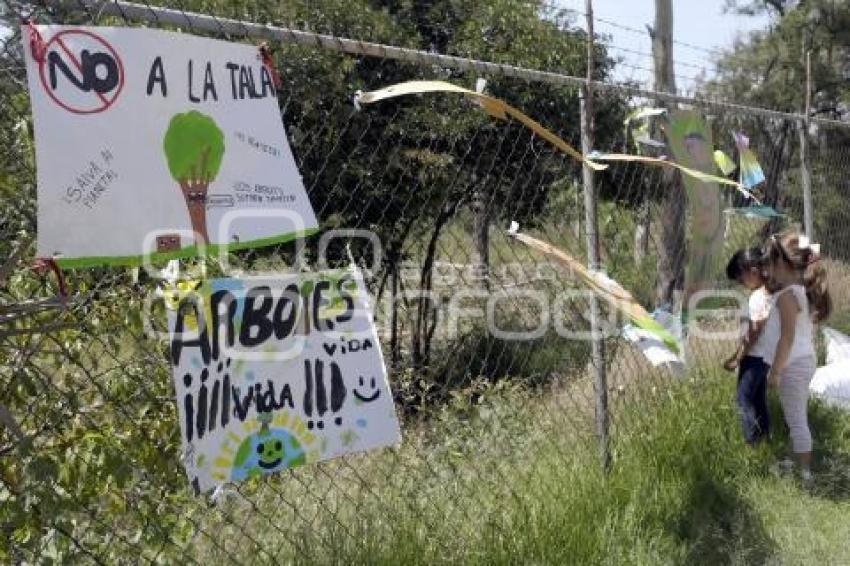 MANIFESTACIÓN CONTRA LA TALA DE ÁRBOLES