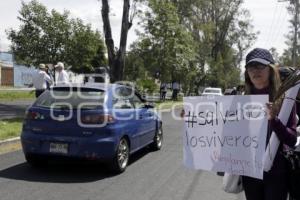 MANIFESTACIÓN CONTRA LA TALA DE ÁRBOLES