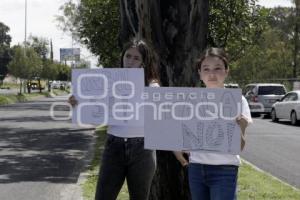 MANIFESTACIÓN CONTRA LA TALA DE ÁRBOLES