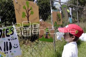 MANIFESTACIÓN CONTRA LA TALA DE ÁRBOLES