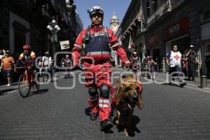 DESFILE CRUZ ROJA