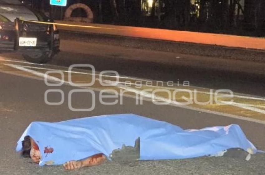 ATROPELLADO EN AUTOPISTA