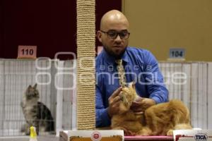 EXPO FELINA . UPAEP