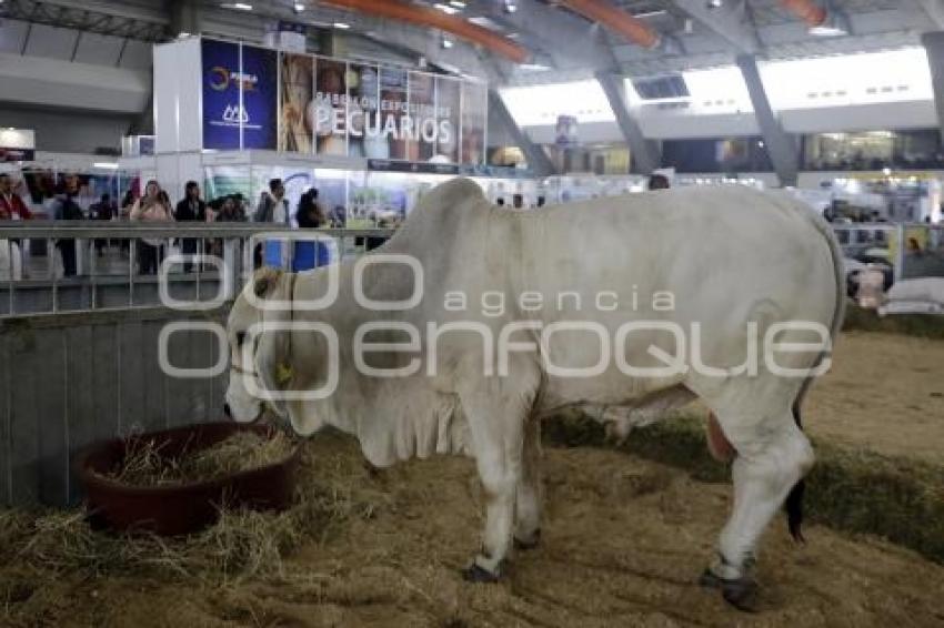 FORO GLOBAL AGROALIMENTARIO