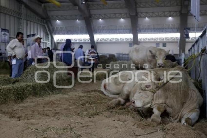 FORO GLOBAL AGROALIMENTARIO