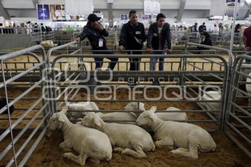 FORO GLOBAL AGROALIMENTARIO