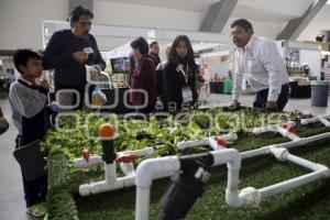 FORO GLOBAL AGROALIMENTARIO