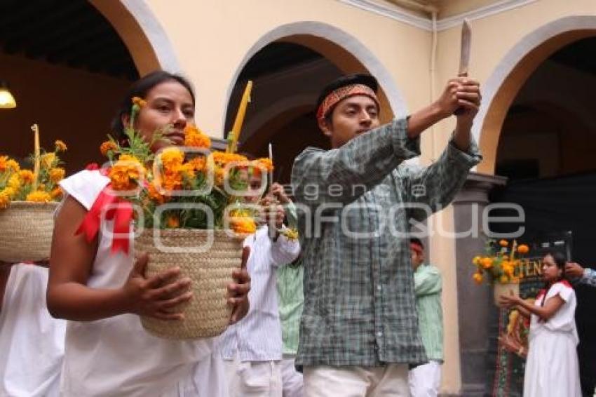 RITUAL MOLE DE CADERAS