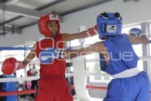 BOXEO 