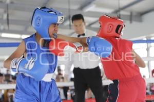 BOXEO 