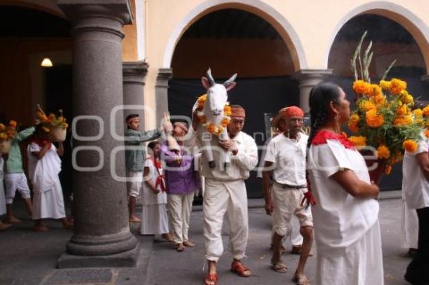 RITUAL MOLE DE CADERAS