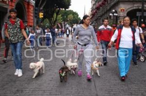 CARRERA CAMINATA 5KM