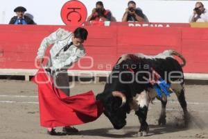 TOROS. ARTUO SOTO