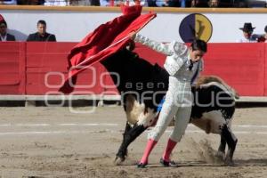 TOROS. ARTUO SOTO