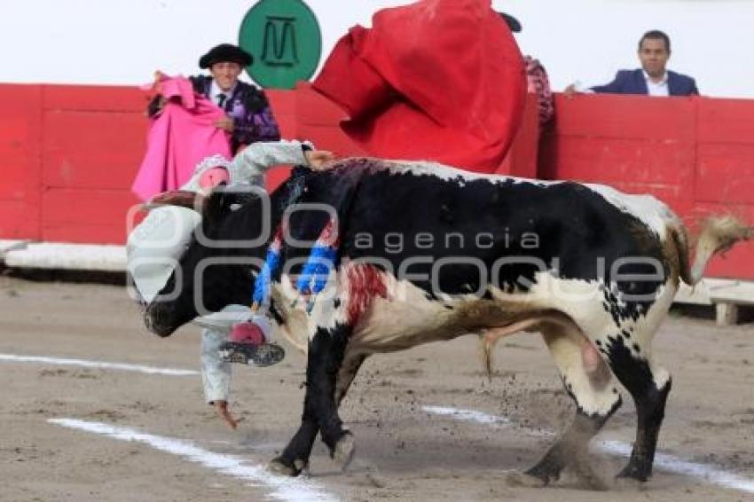TOROS. ARTUO SOTO
