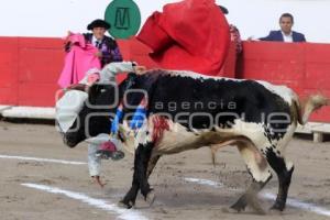 TOROS. ARTUO SOTO