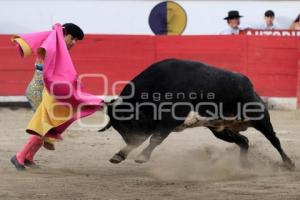 TOROS. HÉCTOR GABRIEL