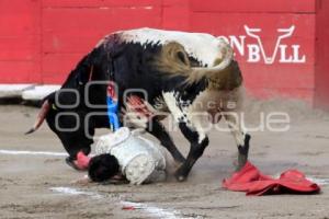 TOROS. ARTUO SOTO