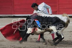 TOROS. ARTUO SOTO