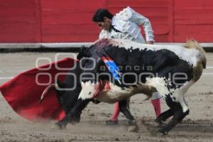 TOROS. ARTUO SOTO