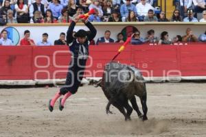 TOROS. HÉCTOR GABRIEL