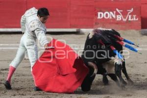 TOROS. ARTUO SOTO