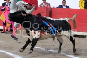 TOROS. ARTUO SOTO