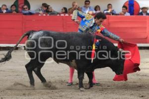 TOROS. HÉCTOR GABRIEL