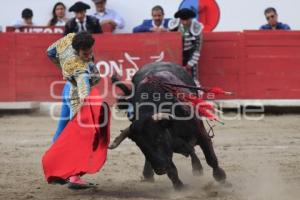 TOROS. HÉCTOR GABRIEL