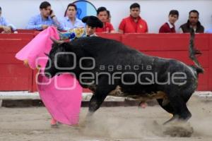 TOROS. HÉCTOR GABRIEL