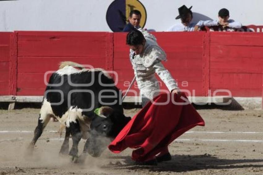 TOROS. ARTUO SOTO