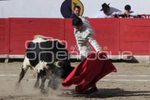 TOROS. ARTUO SOTO