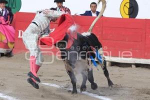 TOROS. ARTUO SOTO