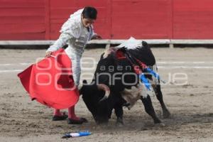 TOROS. ARTUO SOTO