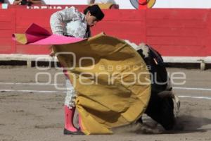 TOROS. ARTUO SOTO