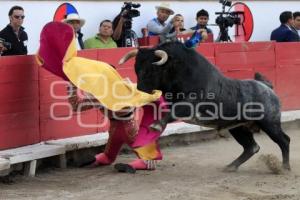 TOROS. FEDERICO PIZARRO