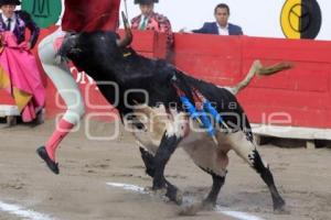 TOROS. ARTUO SOTO