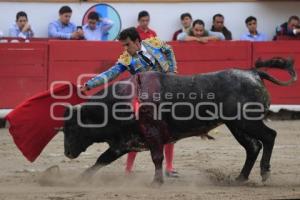 TOROS. HÉCTOR GABRIEL