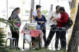 DIA MUNDIAL DE LA ALIMENTACIÓN