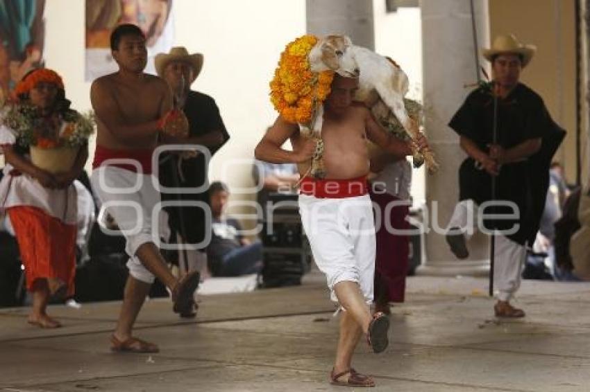 FESTIVAL MOLE DE CADERAS